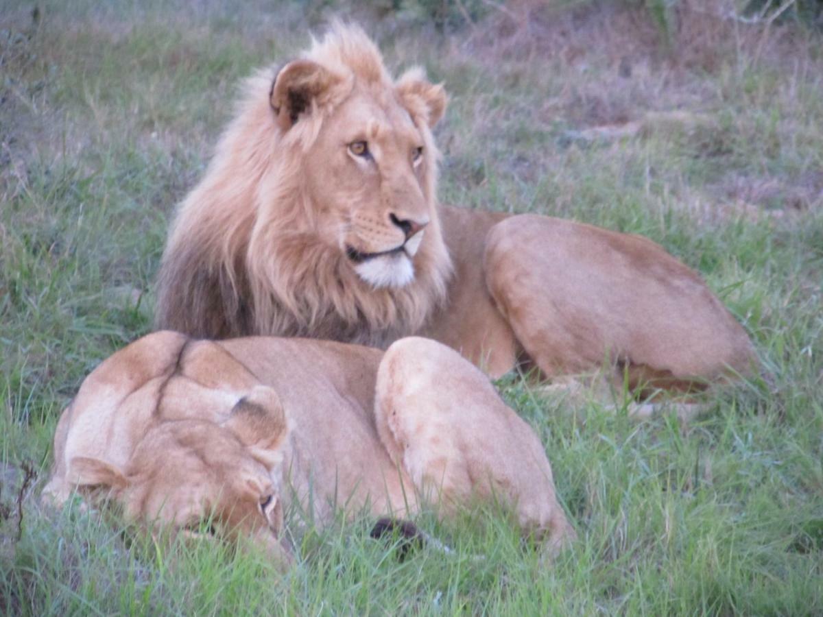 Addo Gateway Lodge Колчестър Екстериор снимка